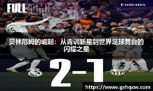 HB火博官方网址